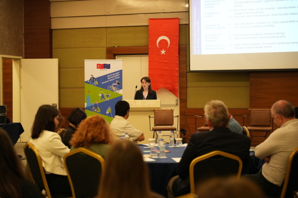 Second Workshop on Disaster Resilient Transportation System Held in Istanbul